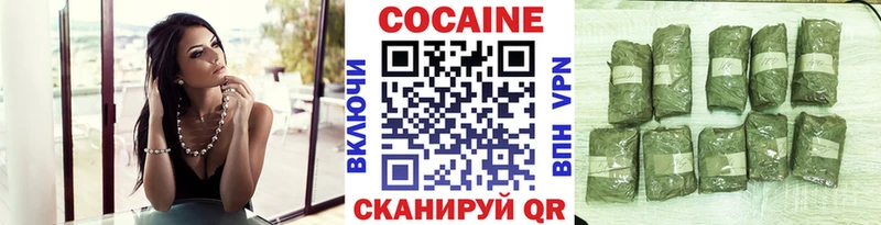 кракен ссылки  что такое наркотик  shop телеграм  Cocaine FishScale  Нестеровская 