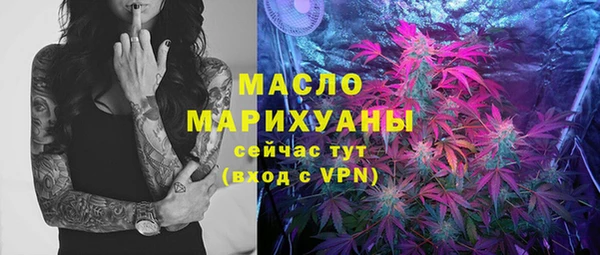 индика Куйбышев
