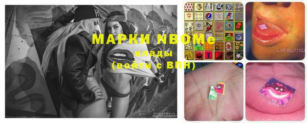 ALPHA PVP Остров