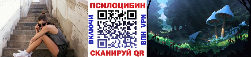 Псилоцибиновые грибы мицелий  Нестеровская 